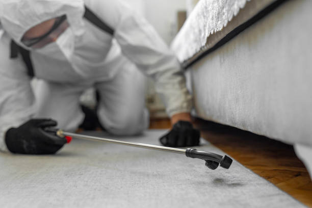 Professional Termite Control technician working in Bernie, MO