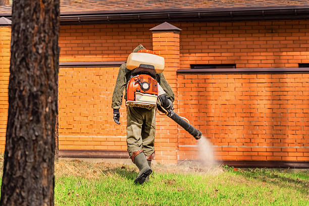 Top rated local Termite Control specialists in Bernie, MO